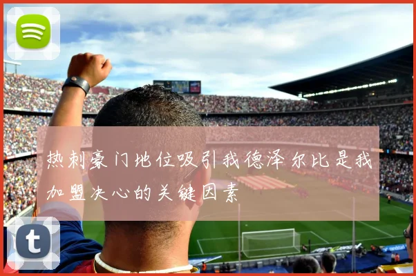 热刺豪门地位吸引我德泽尔比是我加盟决心的关键因素