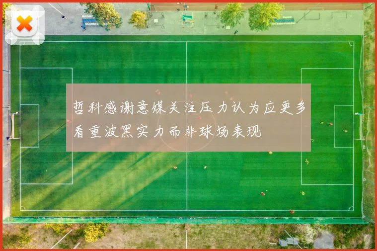 哲科感谢意媒关注压力认为应更多看重波黑实力而非球场表现