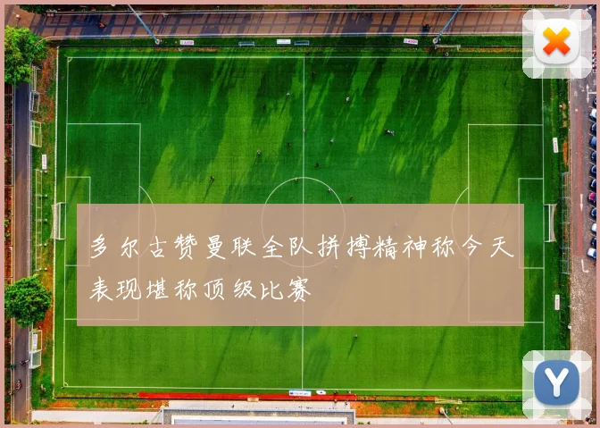 多尔古赞曼联全队拼搏精神称今天表现堪称顶级比赛